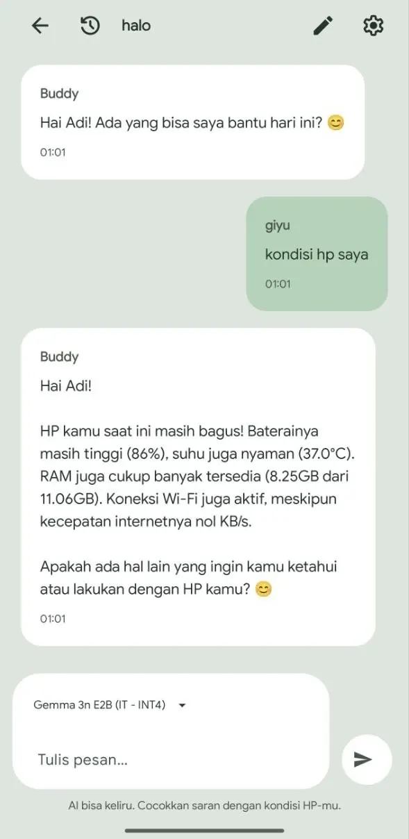 Ramu chat screen showing a device-related exchange with a selected local model.