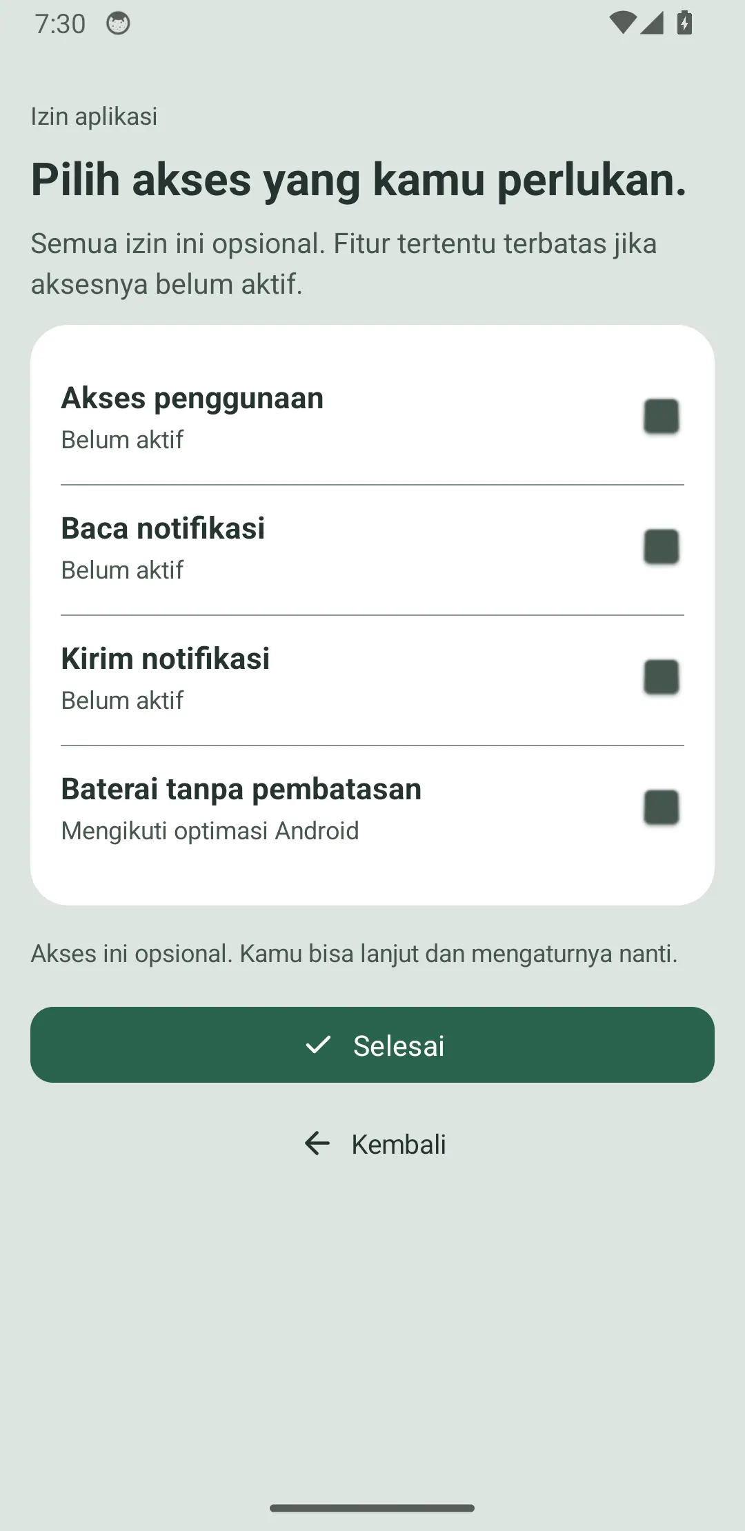 Ramu emulator screen with separate optional permission choices.