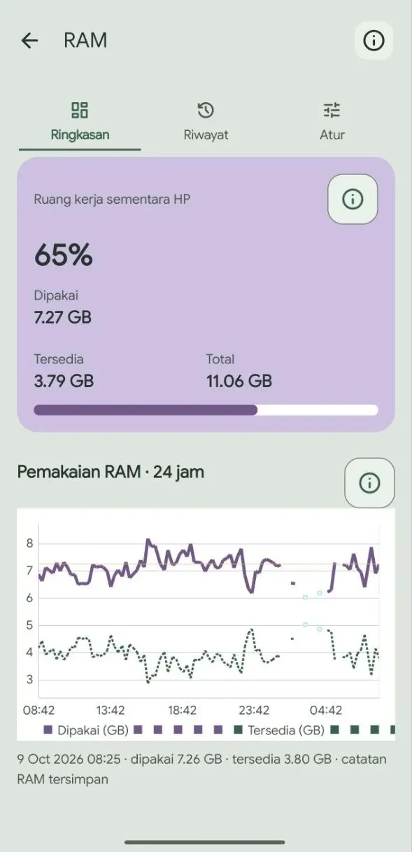 Ramu RAM screen showing used and available memory with a history chart.